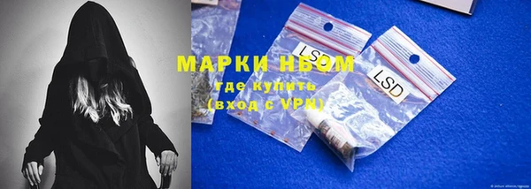 стаф Алзамай