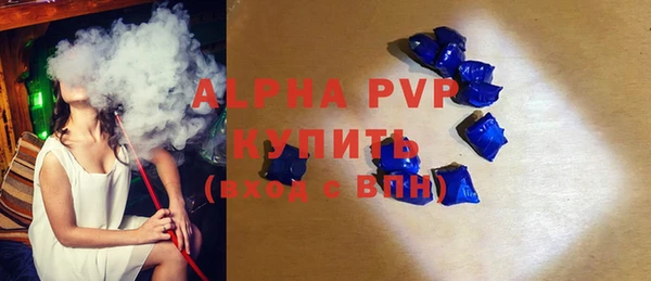 стаф Алзамай