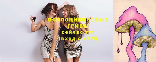a pvp Алексин