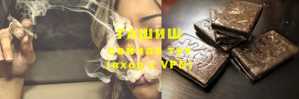 стаф Алзамай