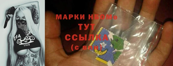 стаф Алзамай