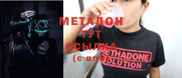 стаф Алзамай