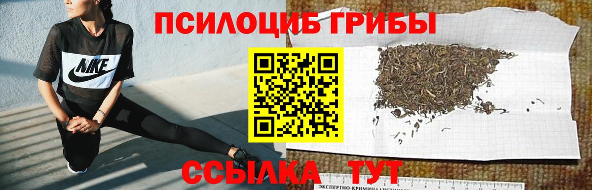 Кыштым  Псилоцибиновые грибы MAGIC MUSHROOMS  Галлюциногенные грибы Cubensis  купить наркотики цена  Вход с VPN 