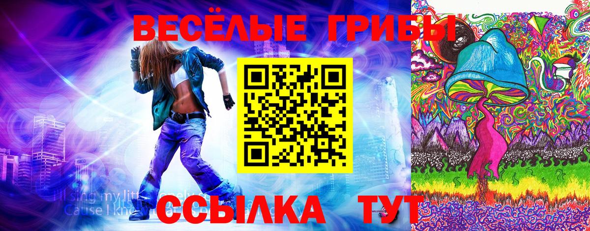 Псилоцибиновые грибы прущие грибы Кыштым